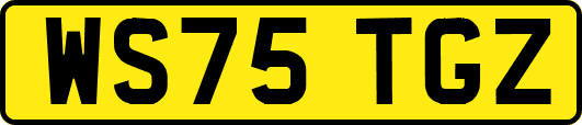 WS75TGZ