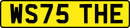 WS75THE