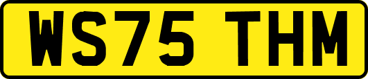 WS75THM