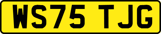 WS75TJG