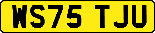 WS75TJU