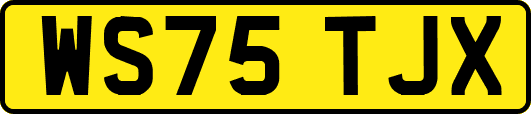 WS75TJX