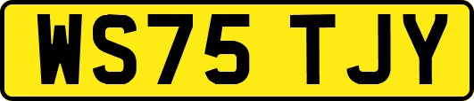 WS75TJY