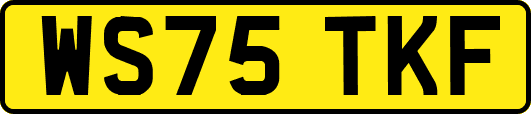 WS75TKF