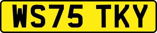 WS75TKY