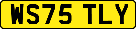 WS75TLY
