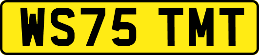 WS75TMT