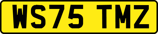 WS75TMZ