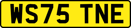 WS75TNE