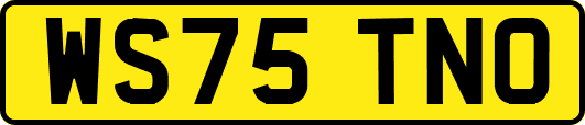 WS75TNO