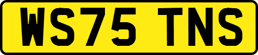 WS75TNS