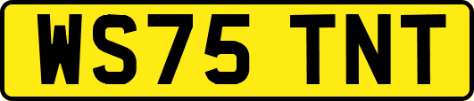 WS75TNT