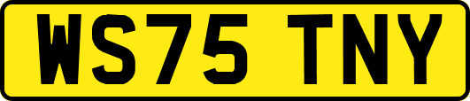 WS75TNY