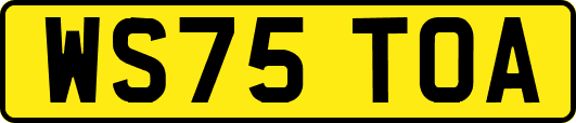 WS75TOA