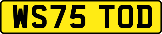 WS75TOD