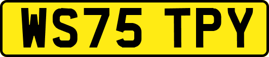 WS75TPY