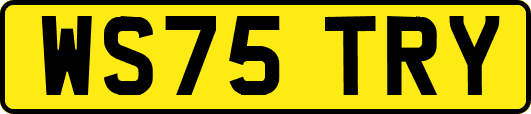 WS75TRY