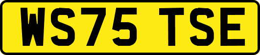 WS75TSE