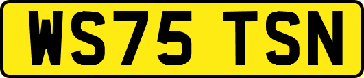 WS75TSN