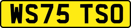 WS75TSO