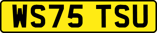 WS75TSU