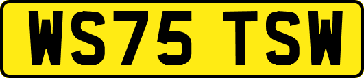 WS75TSW