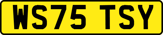 WS75TSY