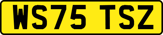 WS75TSZ