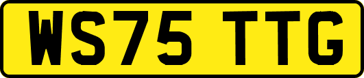 WS75TTG