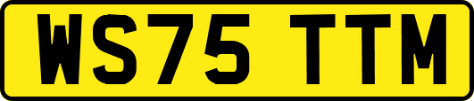 WS75TTM