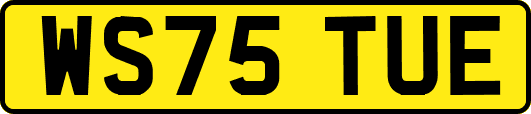WS75TUE