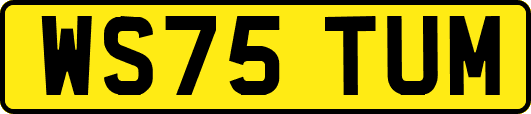 WS75TUM