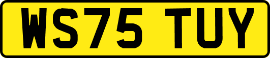 WS75TUY