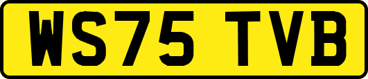 WS75TVB