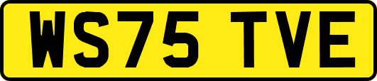 WS75TVE
