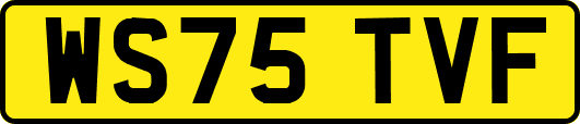 WS75TVF