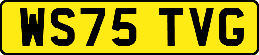 WS75TVG