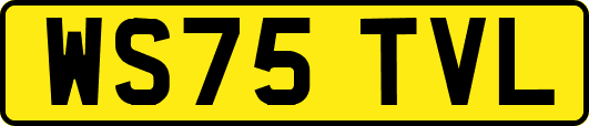 WS75TVL