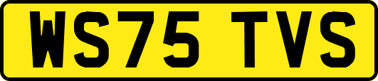 WS75TVS