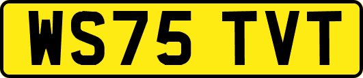 WS75TVT