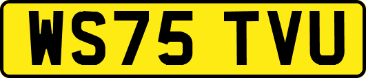 WS75TVU