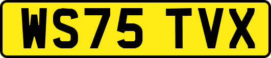 WS75TVX