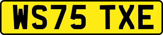 WS75TXE