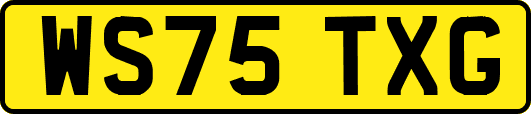 WS75TXG