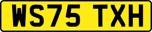 WS75TXH