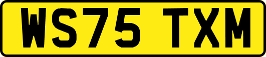 WS75TXM