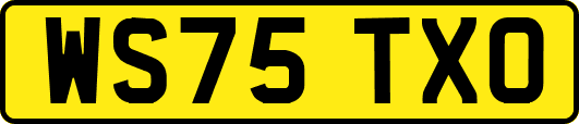 WS75TXO