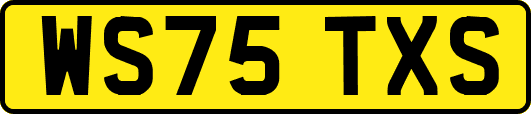 WS75TXS