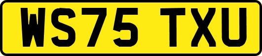 WS75TXU