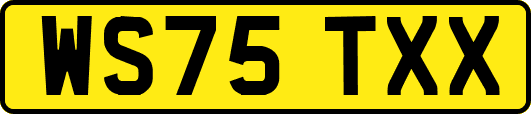 WS75TXX